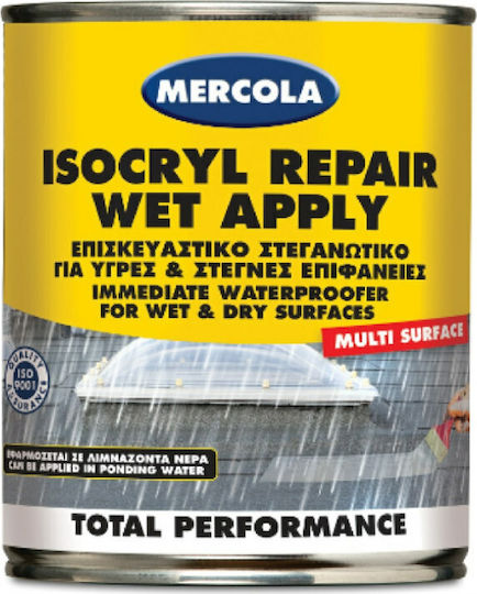 ISOCRYL REPAIR WET APPLY Επισκευαστικό στεγανωτικό για υγρές & στεγνές επιφάνειες